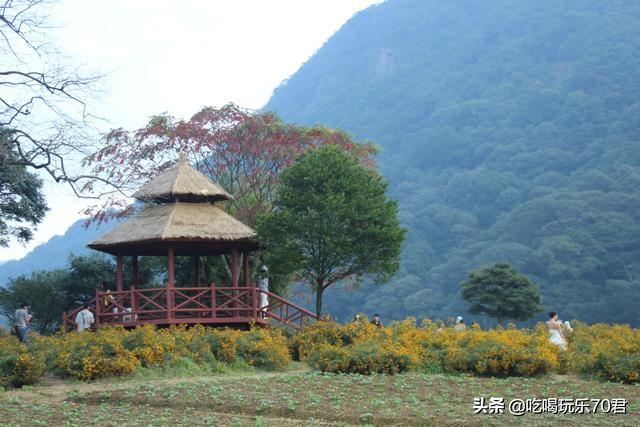从化石门国家森林公园旅游攻略（广州从化石门国家森林公园）(36)