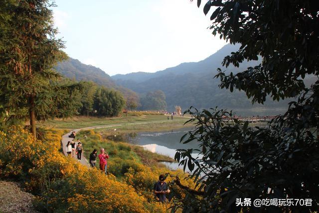 从化石门国家森林公园旅游攻略（广州从化石门国家森林公园）(26)
