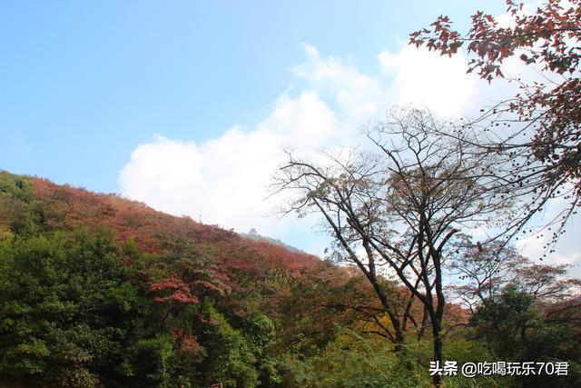 从化石门国家森林公园旅游攻略（广州从化石门国家森林公园）(9)