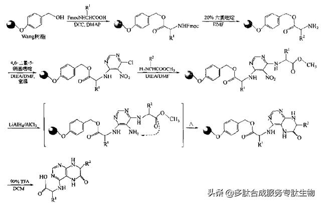 多肽合成物纯化（多肽固相合成技术）(1)