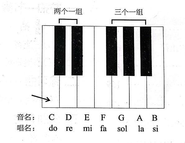 学钢琴必备基础知识（小课堂学钢琴必备的入门知识）(3)