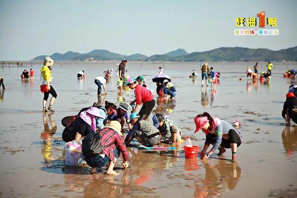 连江十大最长的海滩（连江这些景点恢复营业）(26)