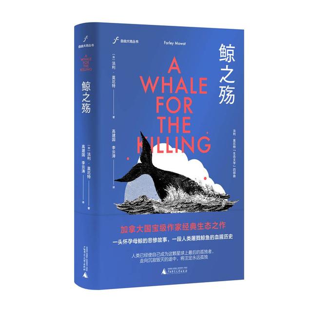 读者里关于鲸的文案（连载鲸之殇鲸与人的历史）(1)