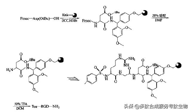 多肽合成物纯化（多肽固相合成技术）(3)